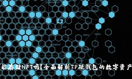TP硬钱包能存储NFT吗？全面解析TP硬钱包的数字资产存储能力